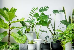 A Guide to Wholesale Planters for Business Success
