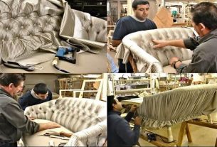 Everything You Wanted to Know About UPHOLSTERY and Were Too Embarrassed to Ask